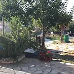 Korado *